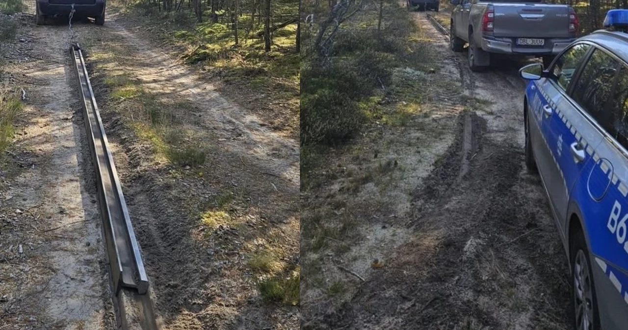 Dolny Śląsk. Kradł tory kolejowe. Wpadł w lesie 