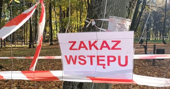 W małopolskim Bolesławiu nie wszyscy posprzątają i przygotują groby bliskich na 1 listopada. Nie wszyscy będą mogli chociaż je odwiedzić. Część nekropolii - w obawie przed zapadliskami - od 14 października jest zamknięta. Problem z dziurami w ziemi w gminie pojawił się jednak dużo wcześniej i jest o wiele większy.