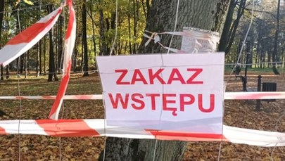 Czy Bolesław podzieli los Trzebini? Patowa sytuacja związana z zapadliskami 