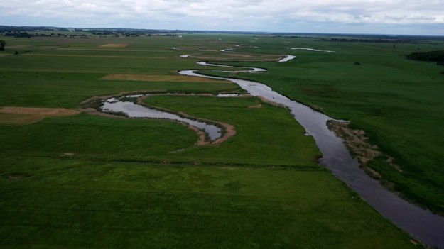 W tej chwili mamy już tylko 27 proc. żyjącej planety - alarmuje WWF w swoim raporcie Living Planet Report 2024. Organizacja przestrzega, że kluczowe dla naszej przyszłości będzie najbliższe pięć lat. Marcin Szumowski.