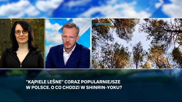 Jak kontakt z naturą działa na nasze zdrowie psychiczne? Czy może nam pomóc zbieranie grzybów? W programie "Czysta Polska" wyjaśniła to Jolanta Sokołowska, psychoterapeutka. 