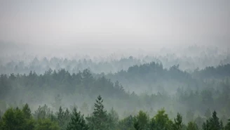 Walczą z jedną z najgroźniejszych chorób. Alert RCB w Polsce