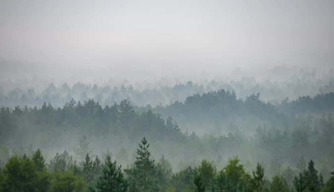 Walczą z jedną z najgroźniejszych chorób. Alert RCB w Polsce