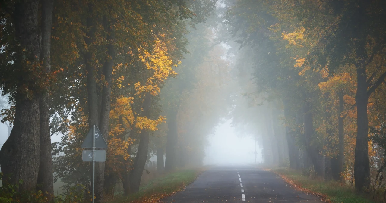 Na wschodzie wieczorem i w nocy mogą panować gęste mgły, przed którymi ostrzega IMGW. Alerty mogą też rozciągnąć się na kolejne regiony