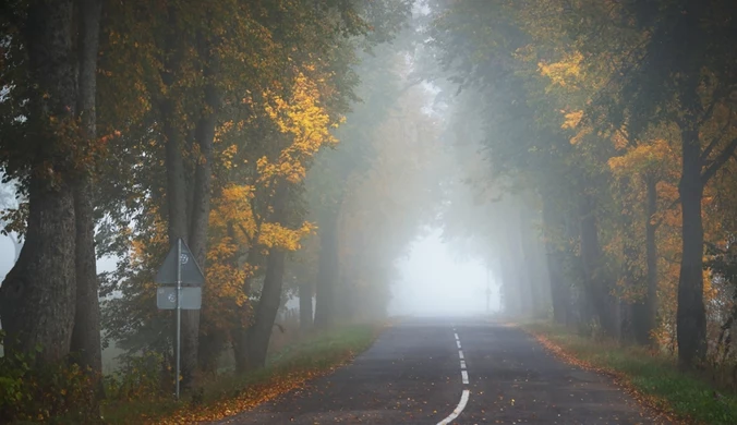 Wraca niebezpieczne zjawisko. Synoptycy ostrzegają