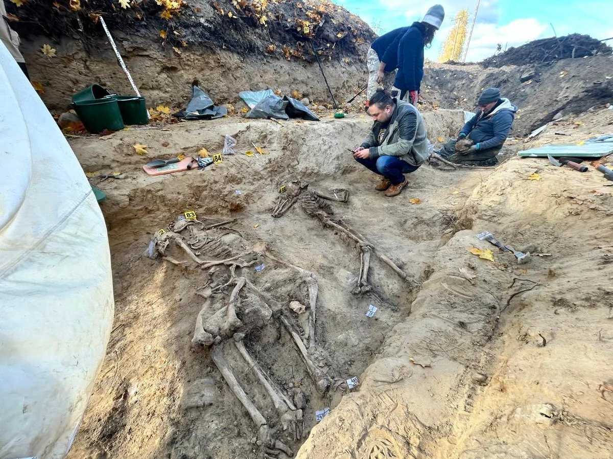 Na masowy grób, a w nim szczątki niemal 200 jeńców wojennych natrafili naukowcy w Stargardzie w Zachodniopomorskiem. W czasie II wojny światowej mieścił się tu Stalag II D, niemiecki obóz jeniecki. Pobytu w nim nie przeżyło nawet 6 tys. pojmanych do niewoli żołnierzy, ale też cywilów wypędzonych z Warszawy po upadku Powstania. Odkrycia naukowców Pomorskiego Uniwersytetu Medycznego rzucają nowe światło na tragiczną historię tego miejsca.