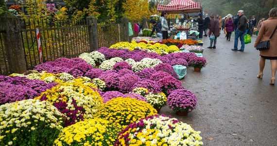 Będą specjalne linie cmentarne, dodatkowe kursy zwykłych linii, nie będzie kursować komunikacja nocna. Takie zmiany na okres Wszystkich Świętych zapowiada Zarząd Dróg i Transportu Miejskiego w Lublinie.