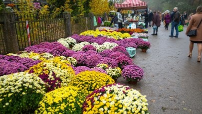 Komunikacja na Wszystkich Świętych w Lublinie