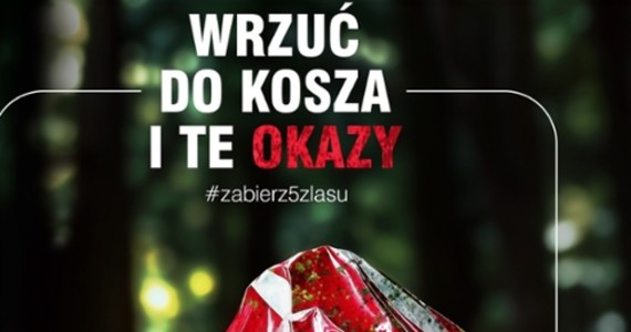 Mobilek oponiasty, elektrus rdzawy czy papierzak szkaradny - to trujące gatunki grzybów, które zaprezentowali leśnicy. Wszystko to część wygenerowanej przez sztuczną inteligencję kampanii, która ma zwrócić uwagę na problem śmieci w lasach. Tylko w zeszłym roku Lasy Państwowe zebrały i wywiozły z polskich lasów 80,6 tysiąca metrów sześciennych śmieci, za co zapłaciły 32,5 mln złotych.