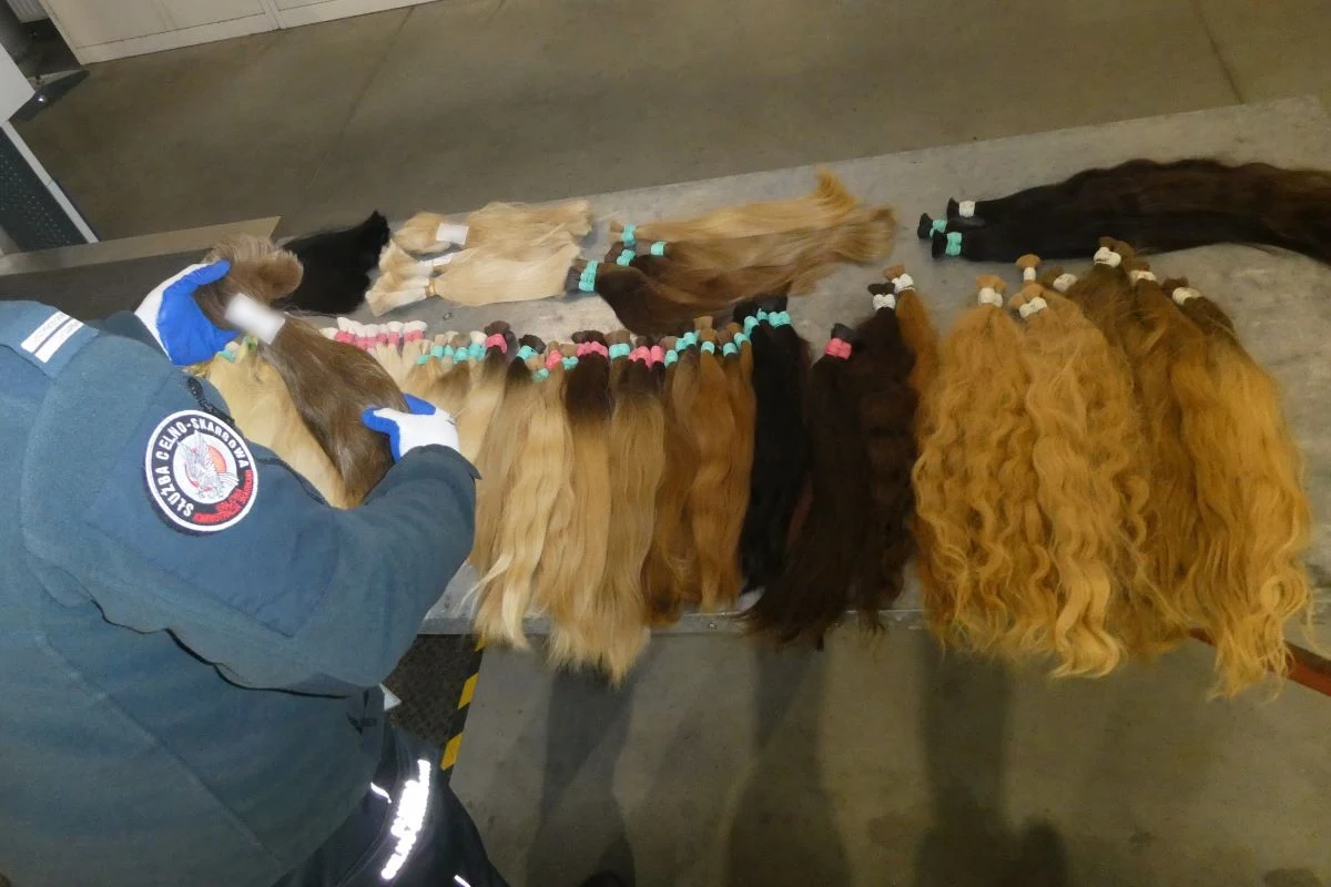 Przemyt ponad 18 kg ludzkich włosów udaremnili funkcjonariusze z podkarpackiej Krajowej Administracji Skarbowej na przejściu granicznym w Krościenku. Towar o wartości ponad 100 tys. zł ukryty był w autokarowej skrytce.