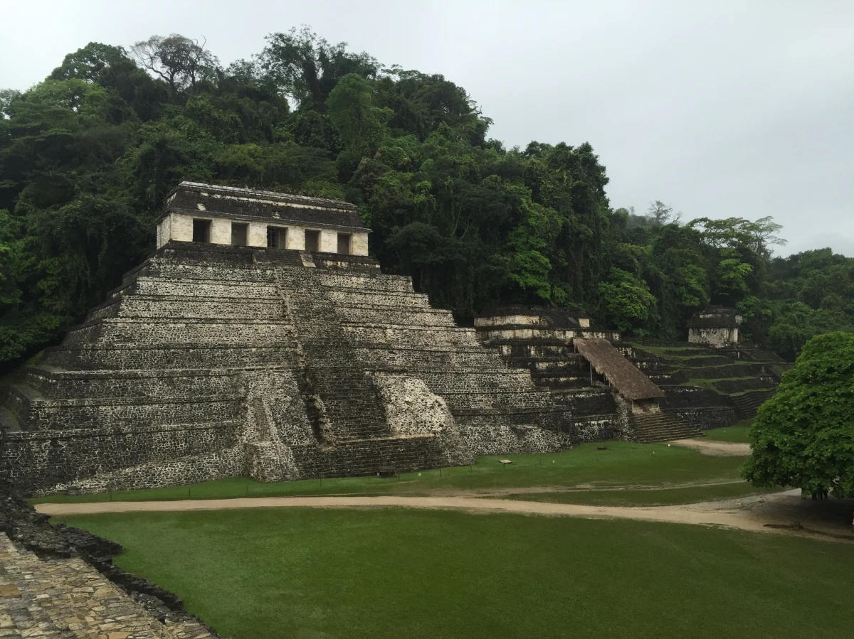 Ogromne miasto Majów zostało przypadkowo odkryte przez doktoranta podczas badań w Meksyku. Wieki temu zniknęło ono pod bujną roślinnością. Teraz w południowo-wschodnim stanie Campeche archeolodzy znaleźli piramidy, boiska sportowe, a także drogi łączące dzielnice i amfiteatry.