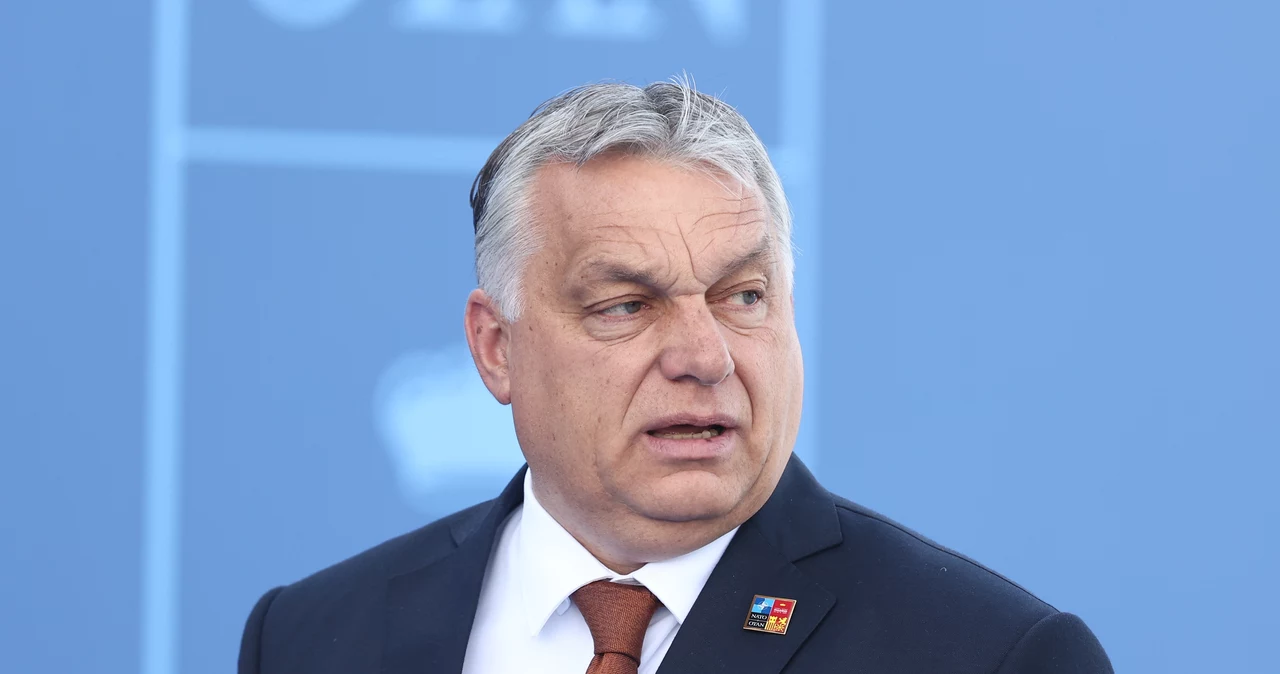 Viktor Orban w Gruzji o "drugiej Ukrainie". W tle wybory parlamentarne