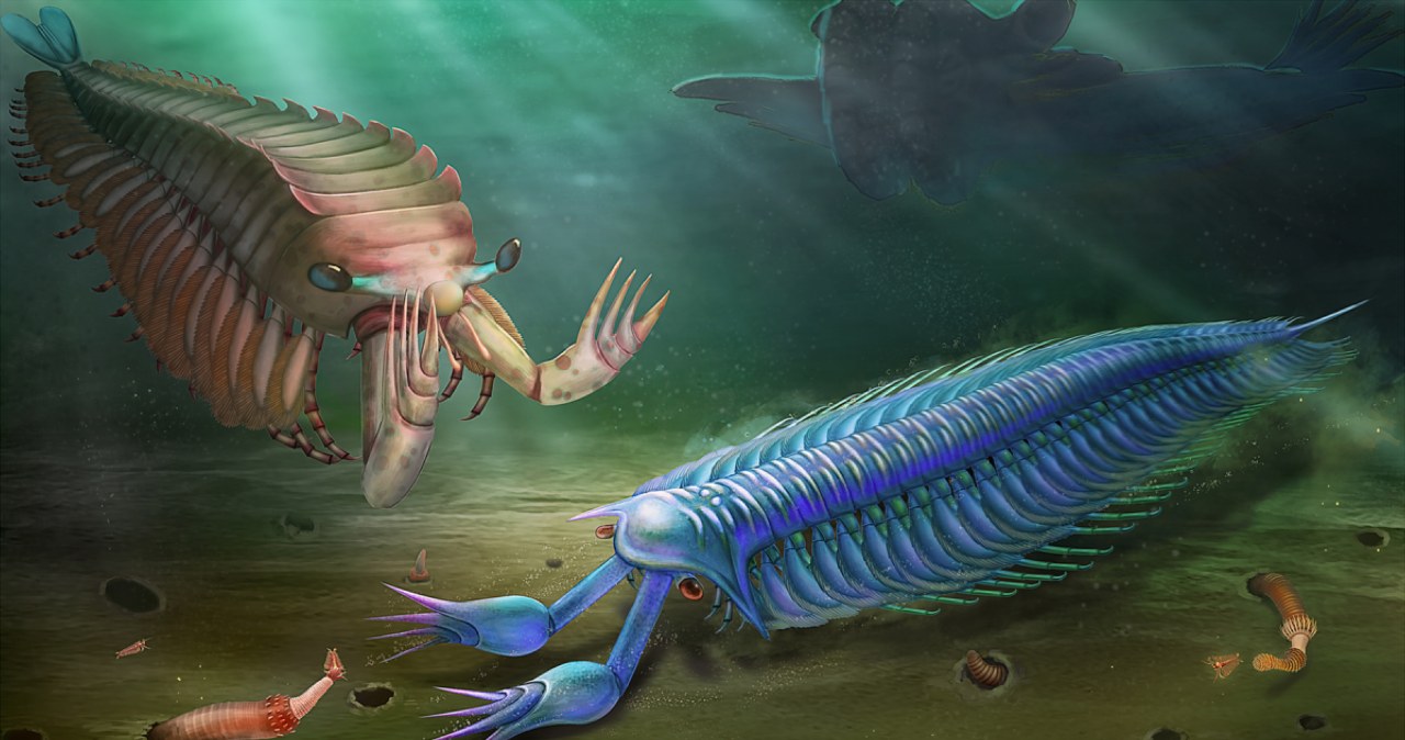 Zębate robaki i dziwaczne ślimaki. Wielki Kanion odsłania tajemnice