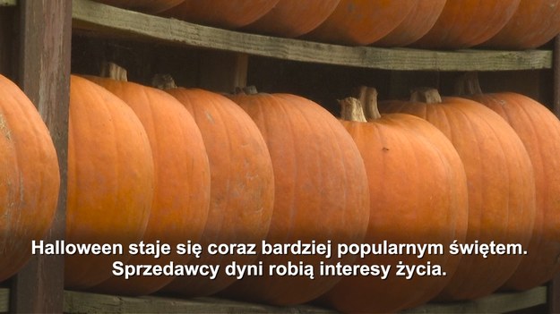 Halloween to jeden z najpopularniejszych zwyczajów, obchodzony w wielu krajach na świecie. Wywodzi się z celtycko-irlandzkiej tradycji Samhain (Sow-un). Wydrążone dynie i psikusy mają – według ekspertów - irlandzkie korzenie. 