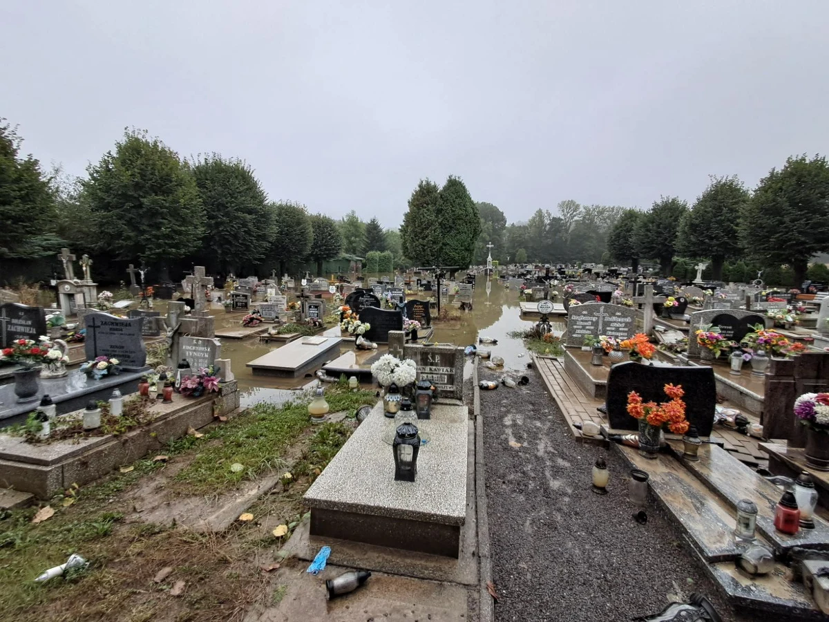 Żywioł nie zna świętości - wrześniowa powódź nie omijała cmentarzy. Zalanych zostało wiele nekropolii, m.in. w Lewinie Brzeskim, Brzeszczach, Kuropatniku, Jeleniej Górze, czy Moszczance. Jak w dniu Wszystkich Świętych wyglądają te cmentarze, czy bliscy zmarłych zdążyli uporać się ze skutkami tragedii? To sprawdzała nasza reporterka Martyna Czerwińska.