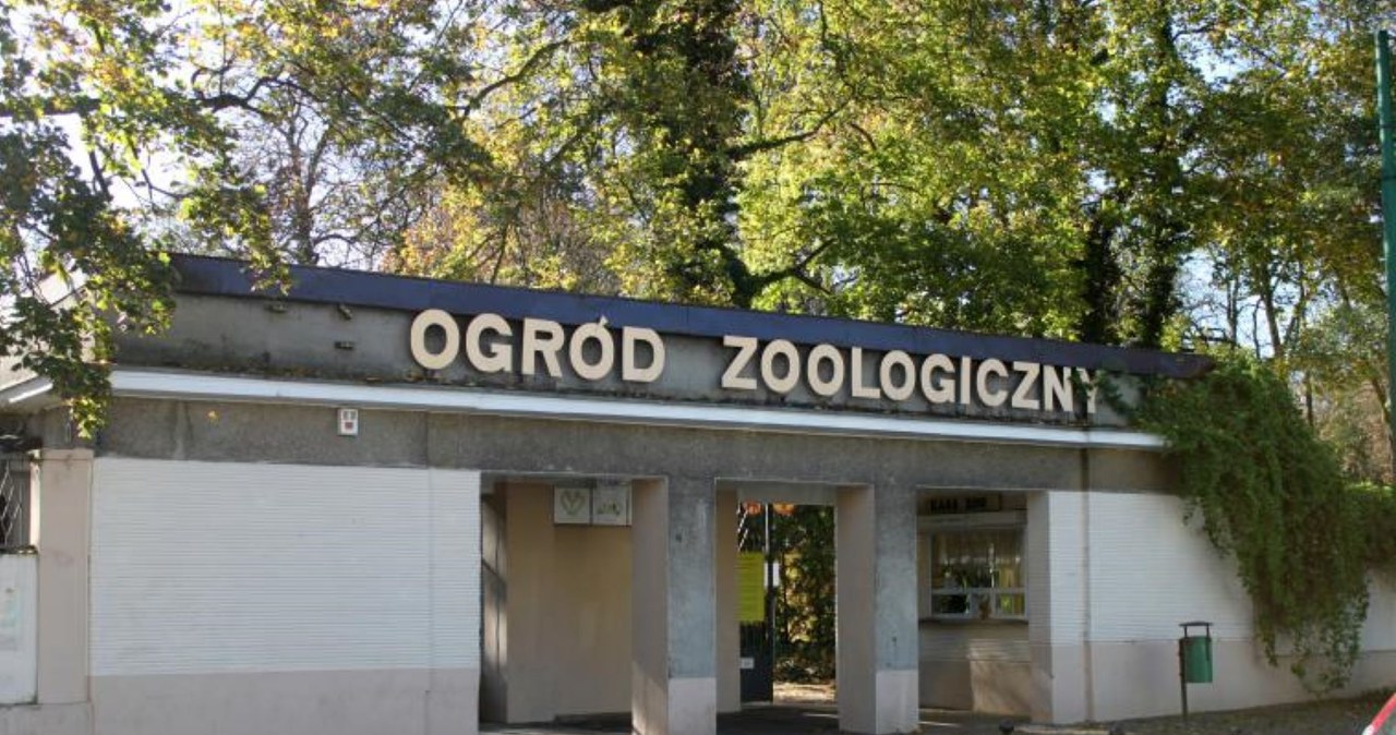  To koniec jednego z najstarszych zoo w Polsce. Straciło swój sens