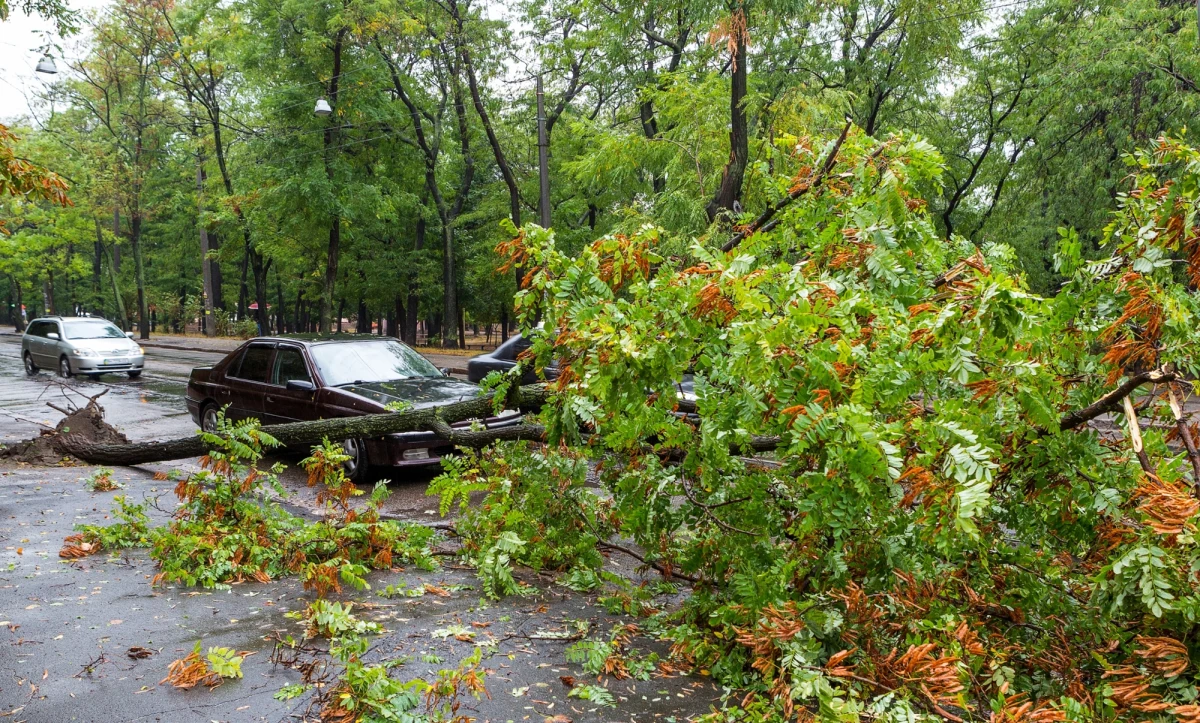 Instytut Meteorologii i Gospodarki Wodnej wydał ostrzeżenia I i II stopnia przed silnym wiatrem dla części woj. zachodniopomorskiego, pomorskiego, warmińsko-mazurskiego i podlaskiego oraz w Górach Świętokrzyskich. Prognozowany jest wiatr w porywach do 100 km/h. Ostrzeżenia obowiązują do soboty.