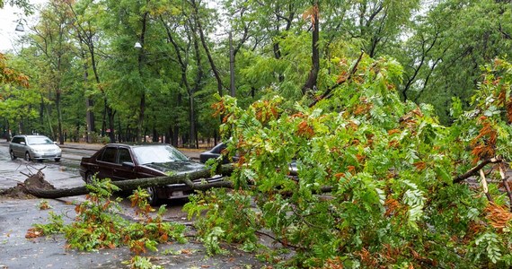 Instytut Meteorologii i Gospodarki Wodnej wydał ostrzeżenia I i II stopnia przed silnym wiatrem dla części woj. zachodniopomorskiego, pomorskiego, warmińsko-mazurskiego i podlaskiego. Prognozowany jest wiatr w porywach do 100 km/h. Ostrzeżenia obowiązują do soboty.