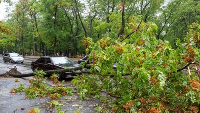 Silny wiatr na północy kraju. Alerty I i II stopnia