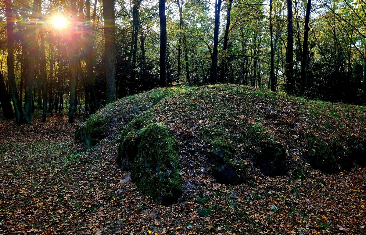 Są starsze od Stonehenge o ponad 2000 lat i około 800 lat starsze od słynnej Piramidy Cheopsa w Gizie. O megalitycznych grobowcach na Kujawach opowiada dziennikarce RMF FM Agnieszce Pietrzak dr Piotr Papiernik, archeolog z Muzeum Archeologicznego i Etnograficznego w Łodzi.
