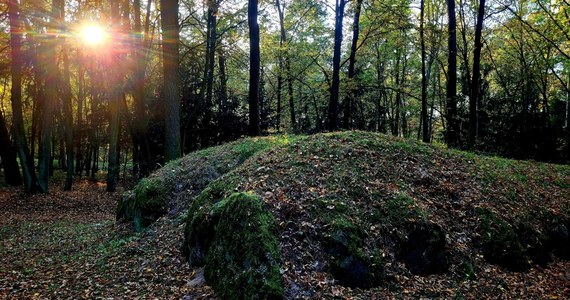 Są starsze od Stonehenge o ponad 2000 lat i około 800 lat starsze od słynnej Piramidy Cheopsa w Gizie. O megalitycznych grobowcach na Kujawach opowiada dziennikarce RMF FM Agnieszce Pietrzak dr Piotr Papiernik, archeolog z Muzeum Archeologicznego i Etnograficznego w Łodzi.