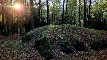 Groby olbrzymów, czyli grobowce megalityczne na Kujawach