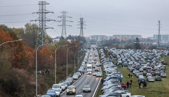 Nowy trend na Wszystkich Świętych. Nie przeszkadza im nawet pogoda