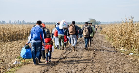 Bruksela przygotowuje się do odsyłania nielegalnych migrantów z Syrii - poinformowała dziennikarka RMF FM Katarzyna Szymańska-Borginon. Decyzje w tej sprawie zapadną jednak w przyszłym roku, podczas sprawowania przez Polskę prezydencji w Unii Europejskiej.