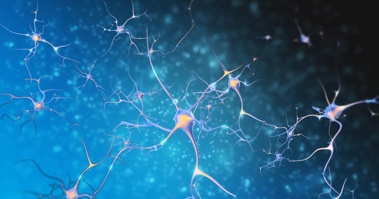 Pierwszy sztuczny neuron, który potrafi "rozmawiać" z tymi biologicznymi