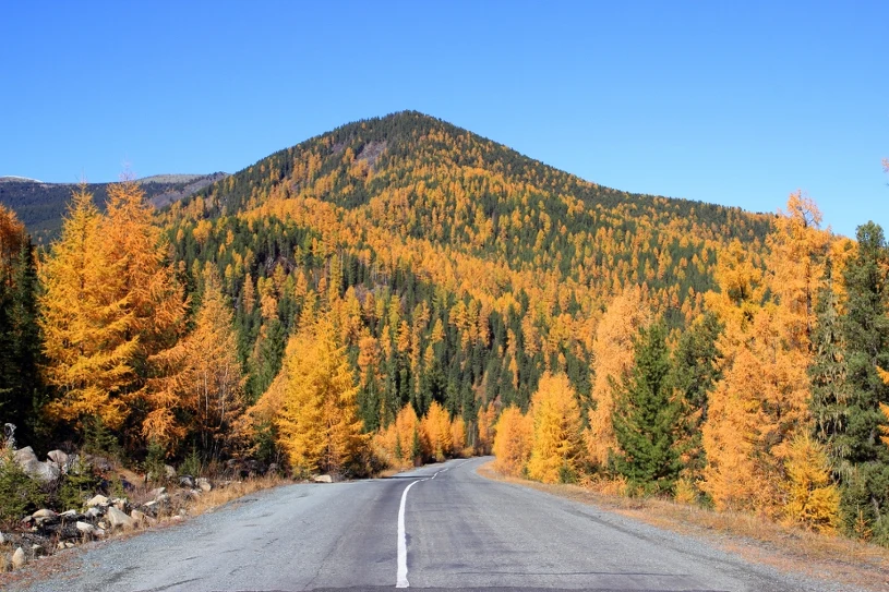 AI wybrała najpiękniejsze miejsce na jesienny weekend w Polsce. Zachwyca kolorami