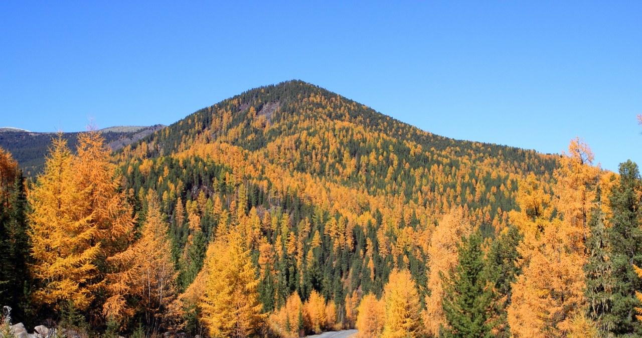 AI wybrała najpiękniejsze miejsce na jesienny weekend w Polsce. Zachwyca kolorami
