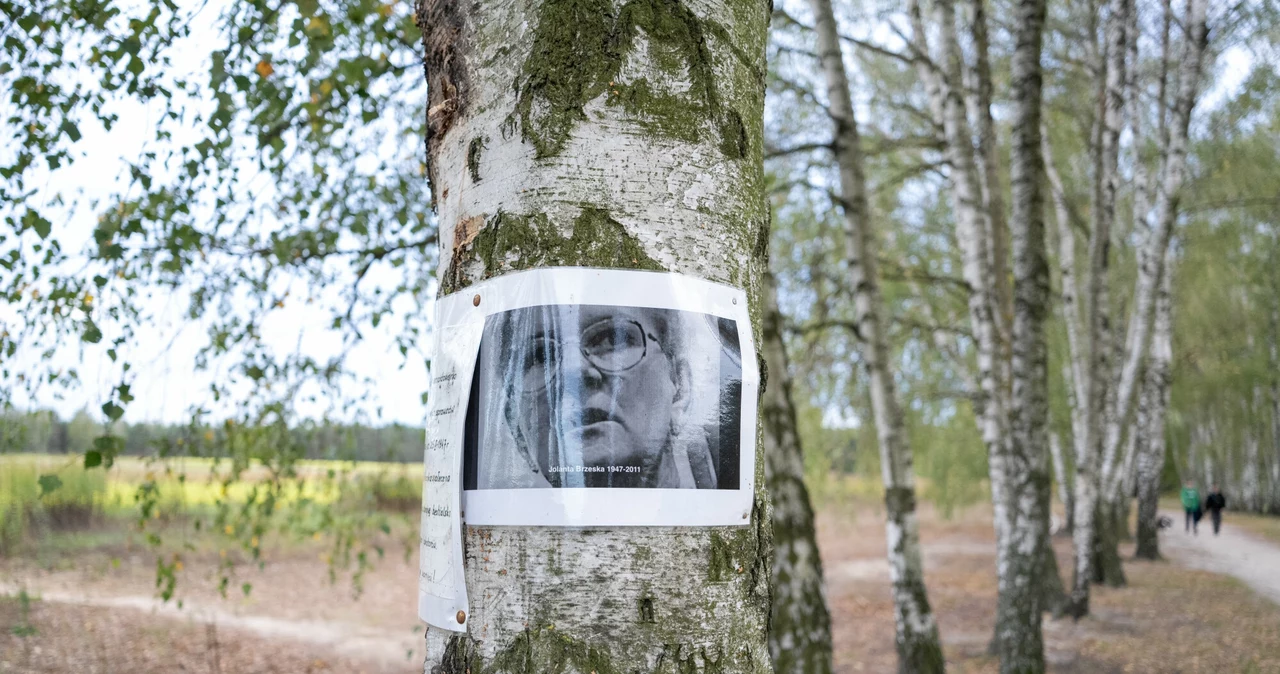 Miejsce, gdzie odnaleziono nieżyjącą Jolantę Brzeską