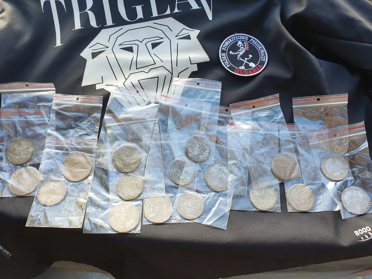 Pod Pomiechówkiem (woj. mazowieckie) dokonano niezwykłego odkrycia. Poszukiwacze spodziewali się znaleźć pozostałości po rzymskiej drodze, zamiast tego odkryli 17 srebrnych monet z czasów Potopu Szwedzkiego i bitwy pod Nowym Dworem Mazowieckim z 1655 roku. Szacowana wartość skarbu to około pół miliona złotych. 