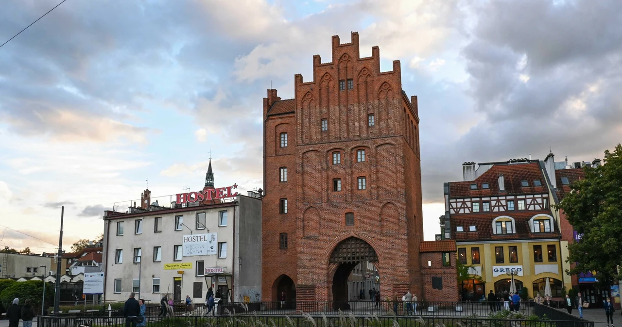 Ostrzeżenie dla mieszkańców Olsztyna. W mieście odkryto przypadek ptasiej grypy 