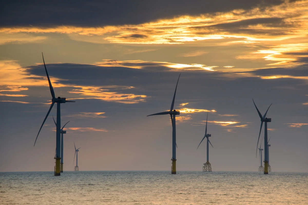 Rząd Szwecji odrzucenił 13 projektów farm wiatrowych na Morzu Bałtyckim w związku z zastrzeżeniami szwedzkich sił zbrojnych. Według wojskowych ekspertów powstanie elektrowni morskich utrudniłoby skuteczną obronę kraju przed Rosją.