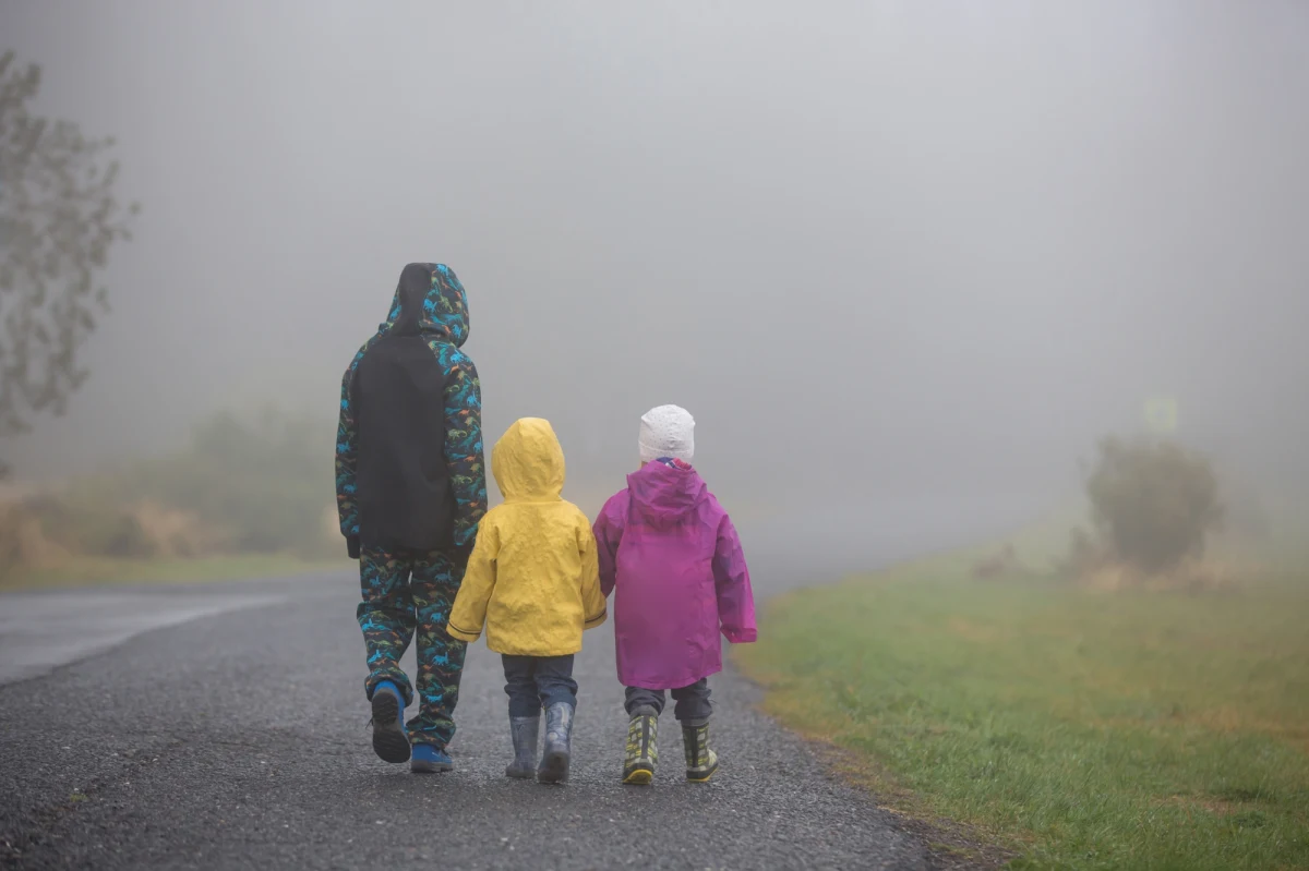 Synoptycy IMGW wydali ostrzeżenia przed gęstą mgłą dla większości terytorium Polski. Alert obowiązuje dzisiaj od godz. 19.