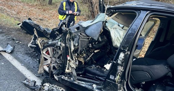 Tragiczny wypadek w wojewódzkie opolskim na krajowej "11". W miejscowości Bąków osobówka zderzyła się z samochodem ciężarowym. Dwie osoby zginęły.