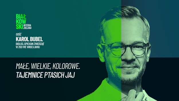 Gościem Przemysława Białkowskiego jest Karol Bubel, biolog, ZOO we Wrocławiu. Ekspert opowiada o fascynującym świecie ptaków i ich jaj.