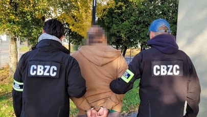 Rozpowszechniali pornografię dziecięcą. Gang pedofilów rozbity 