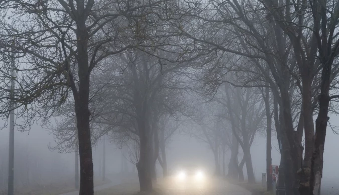 Powietrze gęste jak mleko. Od rana mnóstwo alertów