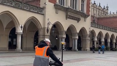 Krakowski Rynek zyska nową zieleń? Eksperci szukają odpowiednich miejsc