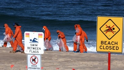 Tysiące cuchnących kul na plażach. Ich skład szokuje