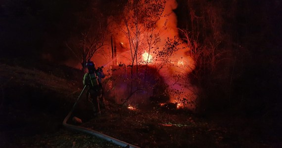 Tragedy in Lublin. Three people died in a house fire