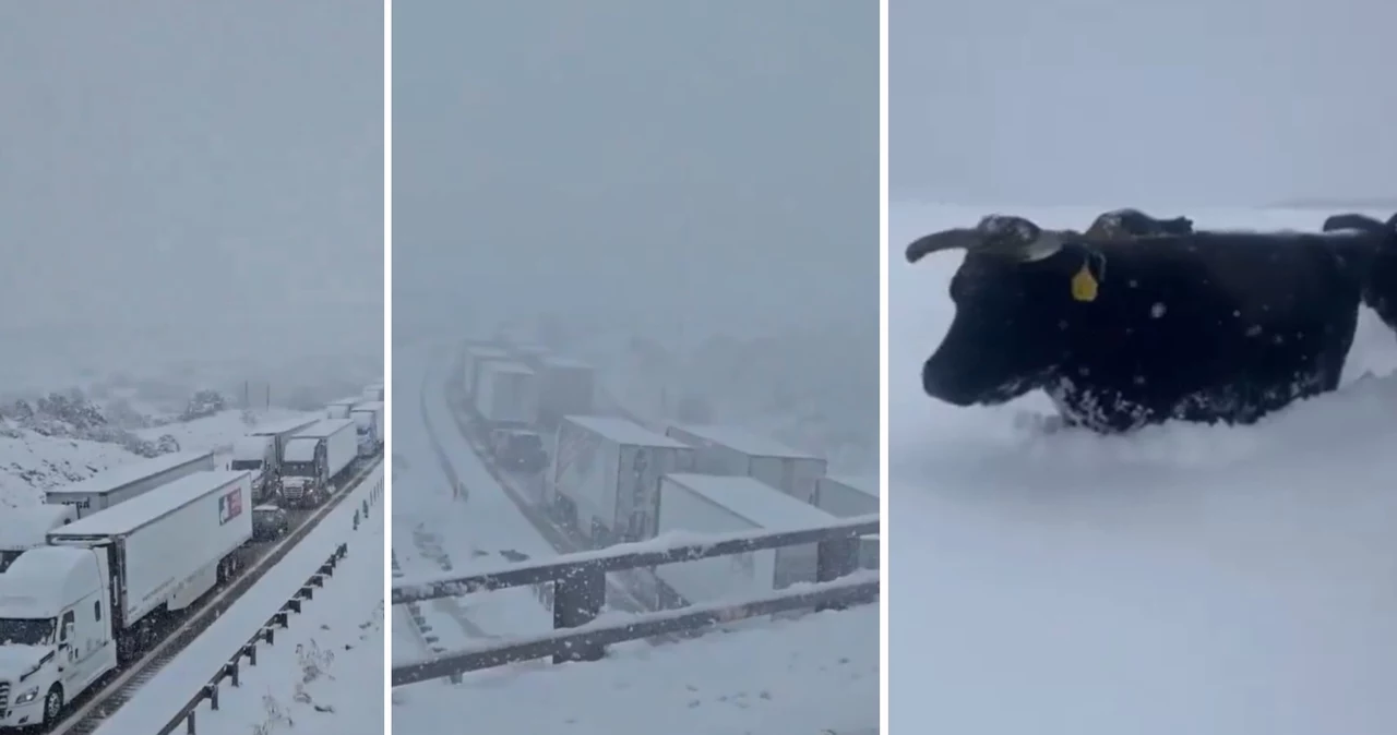 W amerykańskich stanach Nowy Meksyk i Kolorado doszło do prawdziwego ataku zimy. Na jednej z autostrad utworzył się korek na ponad sto pojazdów. Śnieżyce mogą potrwać do soboty