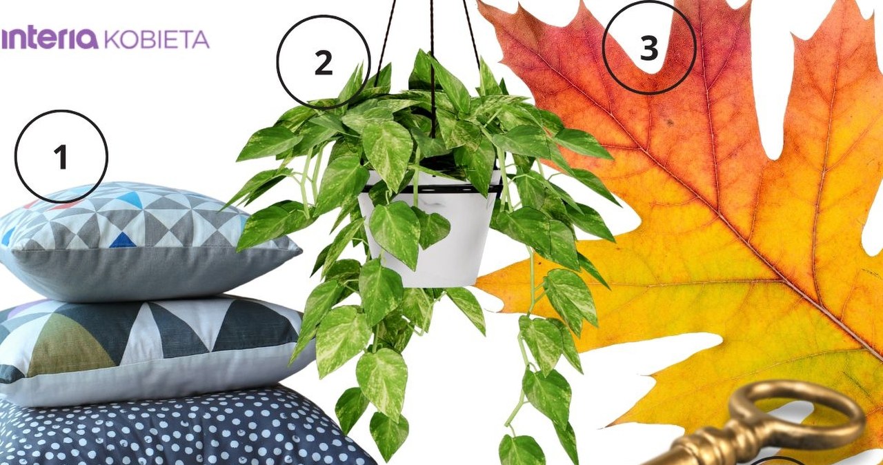 Ten symbol zdradzi, jaka jesteś w relacjach. Intuicyjny test osobowości