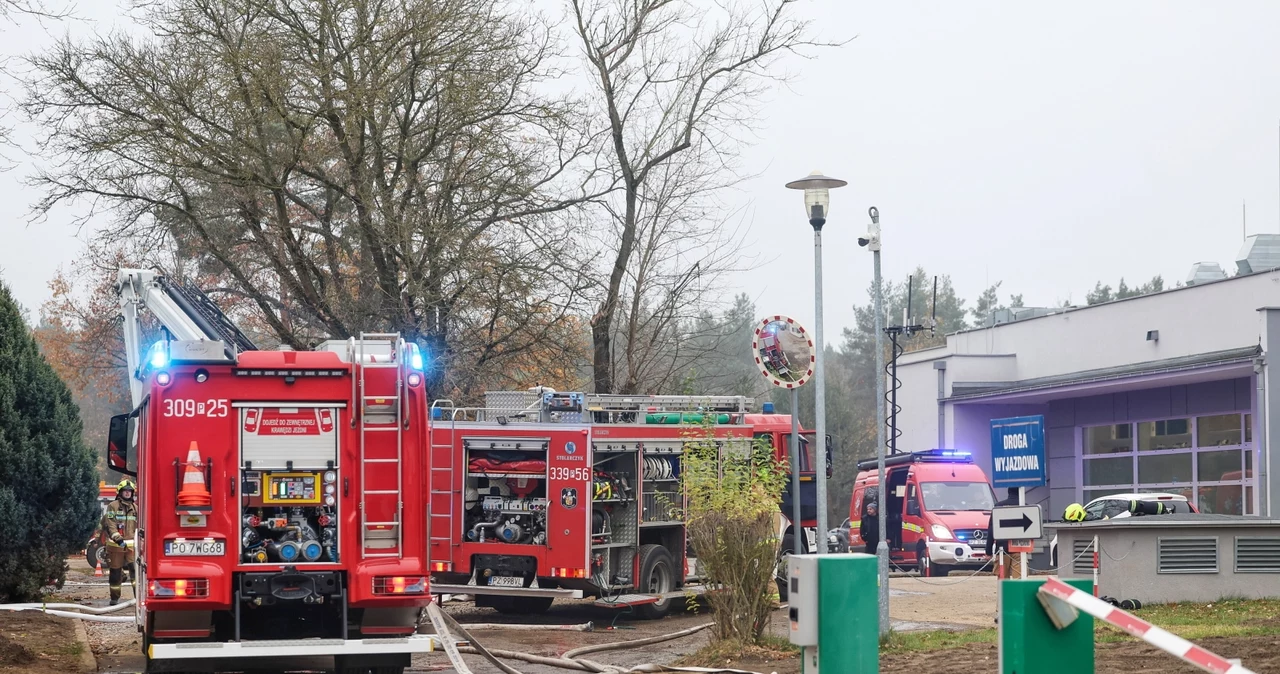 W akcji brało udział ponad 100 strażaków