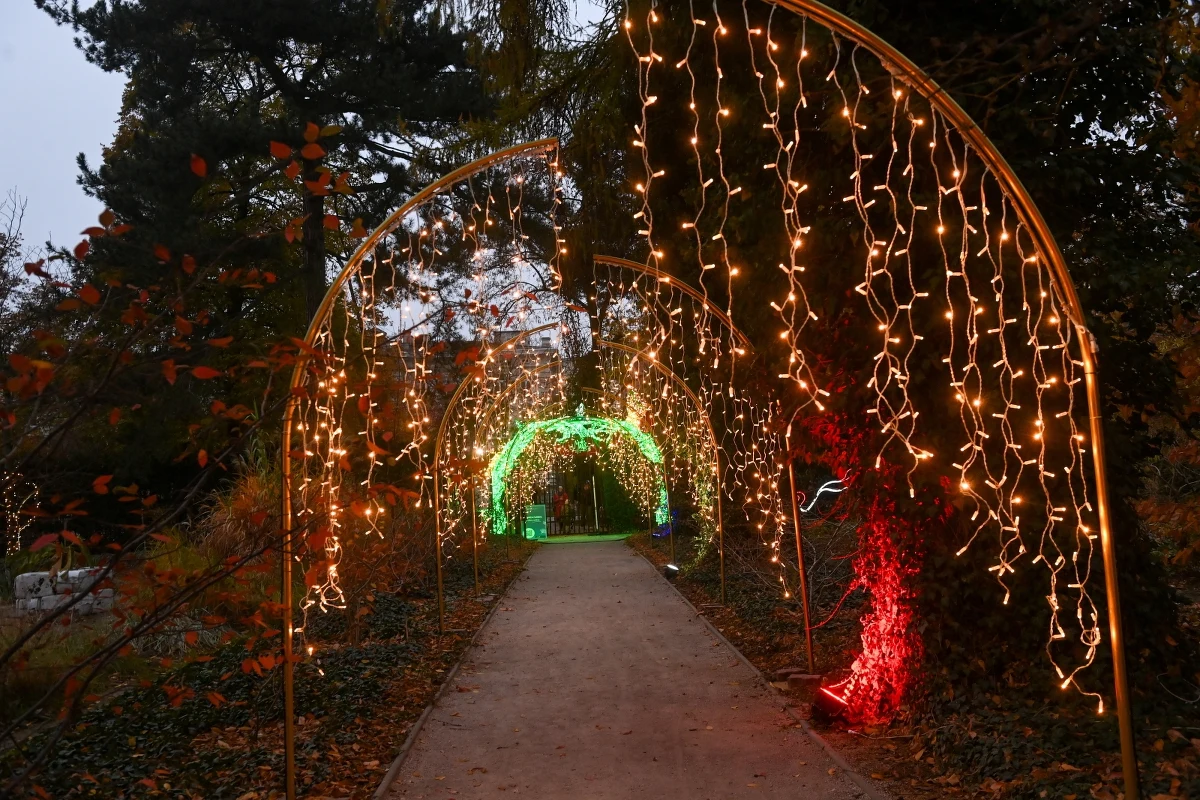 W Ogrodzie Botanicznym Uniwersytetu Warszawskiego otwarto dziś wystawę iluminacji. Ekspozycja "Magiczny Botaniczny" będzie dostępna do 16 lutego. 
