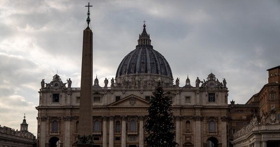 Około 40 tys. osób podpisało się pod petycją do papieża Franciszka, Gubernatoratu Państwa Watykańskiego i lokalnych władz we włoskim Trydencie ws. 200-letniej jodły. Drzewo ma zostać ścięte i ustawione przed Bożym Narodzeniem na placu św. Piotra. 