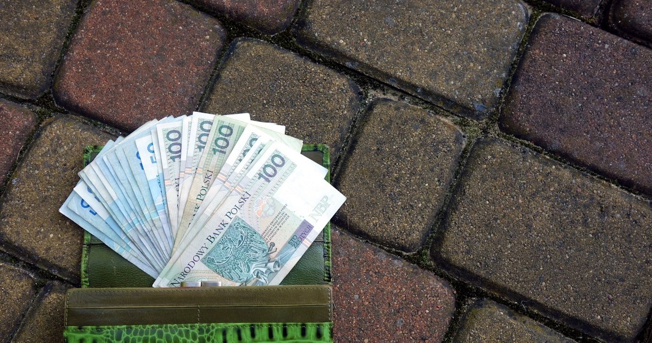 Kobieta znalazła portfel na ulicy. Teraz rok może spędzić w więzieniu