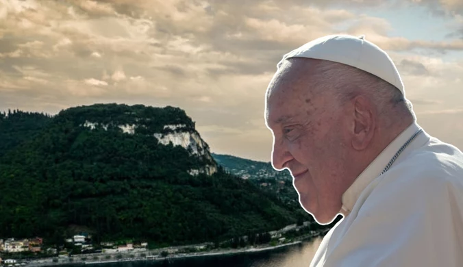 Bronią drzewa przed Bożym Narodzeniem. Napisali do papieża